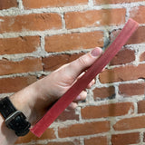 Lenin - Special Abridged Edition - David Shub - 1960 10th Mentor Books Paperback