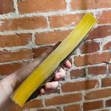 Inside the Fourth Reich - Erich Erdstein - 1979 Jove Books Paperback