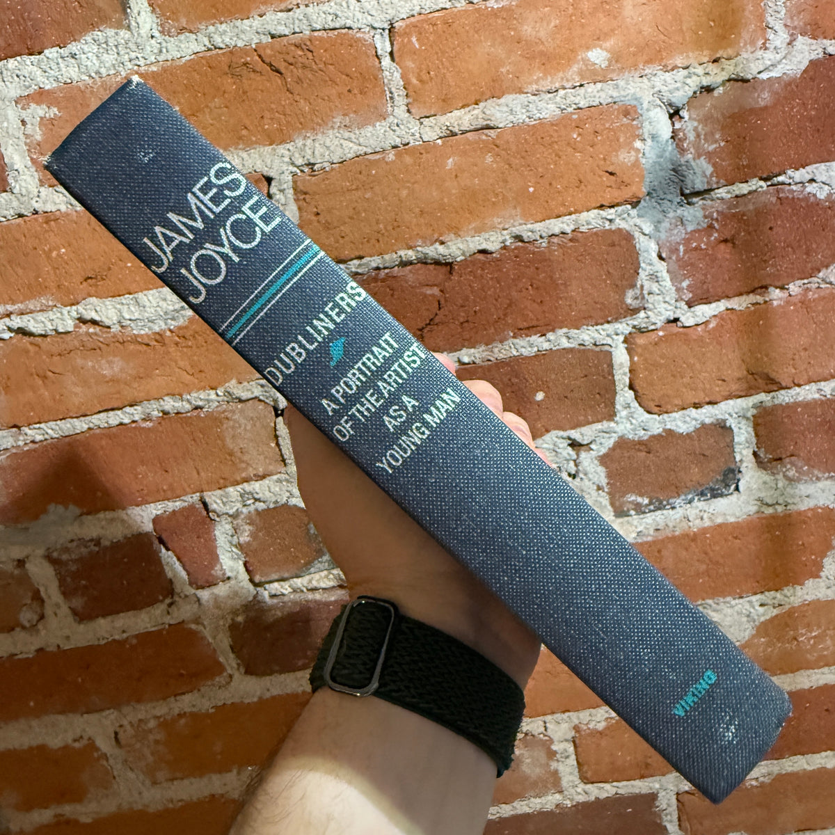 Dubliners - A Portrait of the Artist as a Young Man - James Joyce