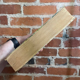 Little Men: Life at Plumfield with Jo’s Boys - Louisa M. Alcott - 1928 Illustrated The Saalfield Publishing Company Hardback