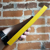 A Medicine for Melancholy - Ray Bradbury - 1981 Bantam Books Paperback - Ian Miller Cover