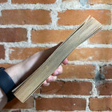 Dark Messiah - Phoenix #1 - David Alexander - 1987 Star Books Paperback