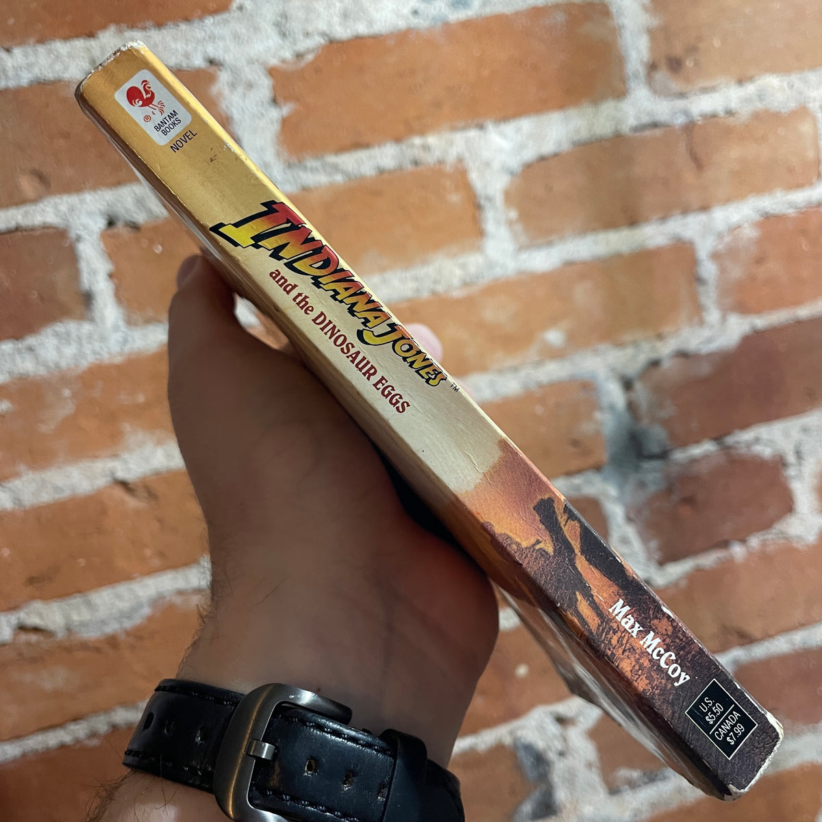 Indiana Jones and the Dinosaur Eggs - Max McCoy - 1996