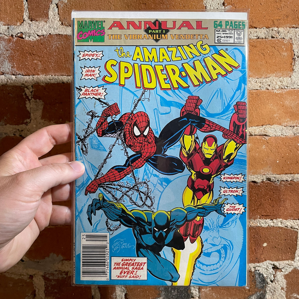 THE AMAZING SPIDER-MAN Web-Slinger, Hero, Icon – Buds Art Books