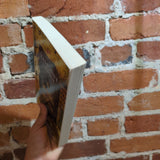 A Wrinkle in Time - Madeleine L’Engle - 2007 Square Fish Trade Paperback