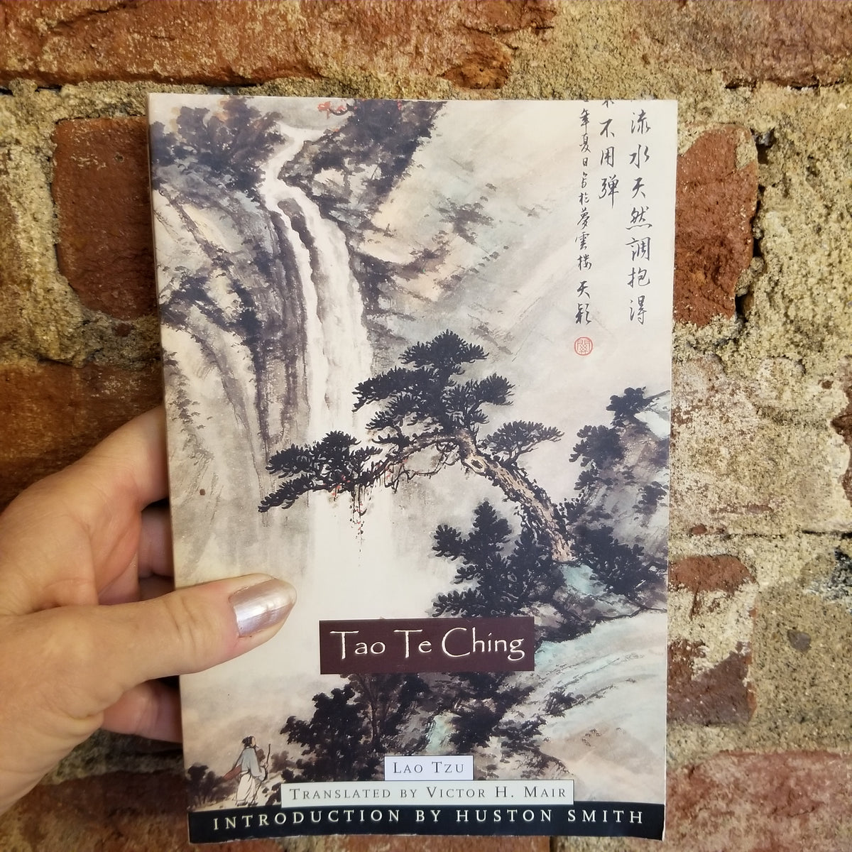 Tao Te Ching by Victor H. Mair, Lao Tzu: 9780553349351 |  : Books