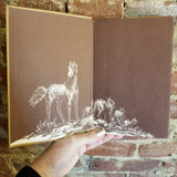 Scorpion, a Good Bad Horse by Will James (1936 Grossett & Dunlap vintage hardback)