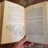 Scorpion, a Good Bad Horse by Will James (1936 Grossett & Dunlap vintage hardback)