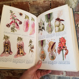 The Book of Knowledge Vol 17 Children's Encyclopedia 1928 The Grolier Society Illustrated hardback