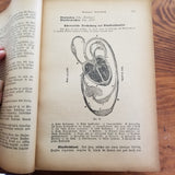 The Natural Method of Healing-Friedrich Eduard Bilz  (1890's) Rare Vintage German Hardback