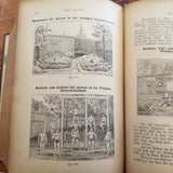 The Natural Method of Healing-Friedrich Eduard Bilz  (1890's) Rare Vintage German Hardback