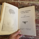 A Little Novel of the Rich-  Joseph Medill Patterson 1909 Grosset & Dunlap vintage HB