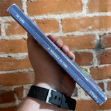 A Wrinkle in Time - Madeleine L'Engle 1973 Scholastic Publishing vintage paperback