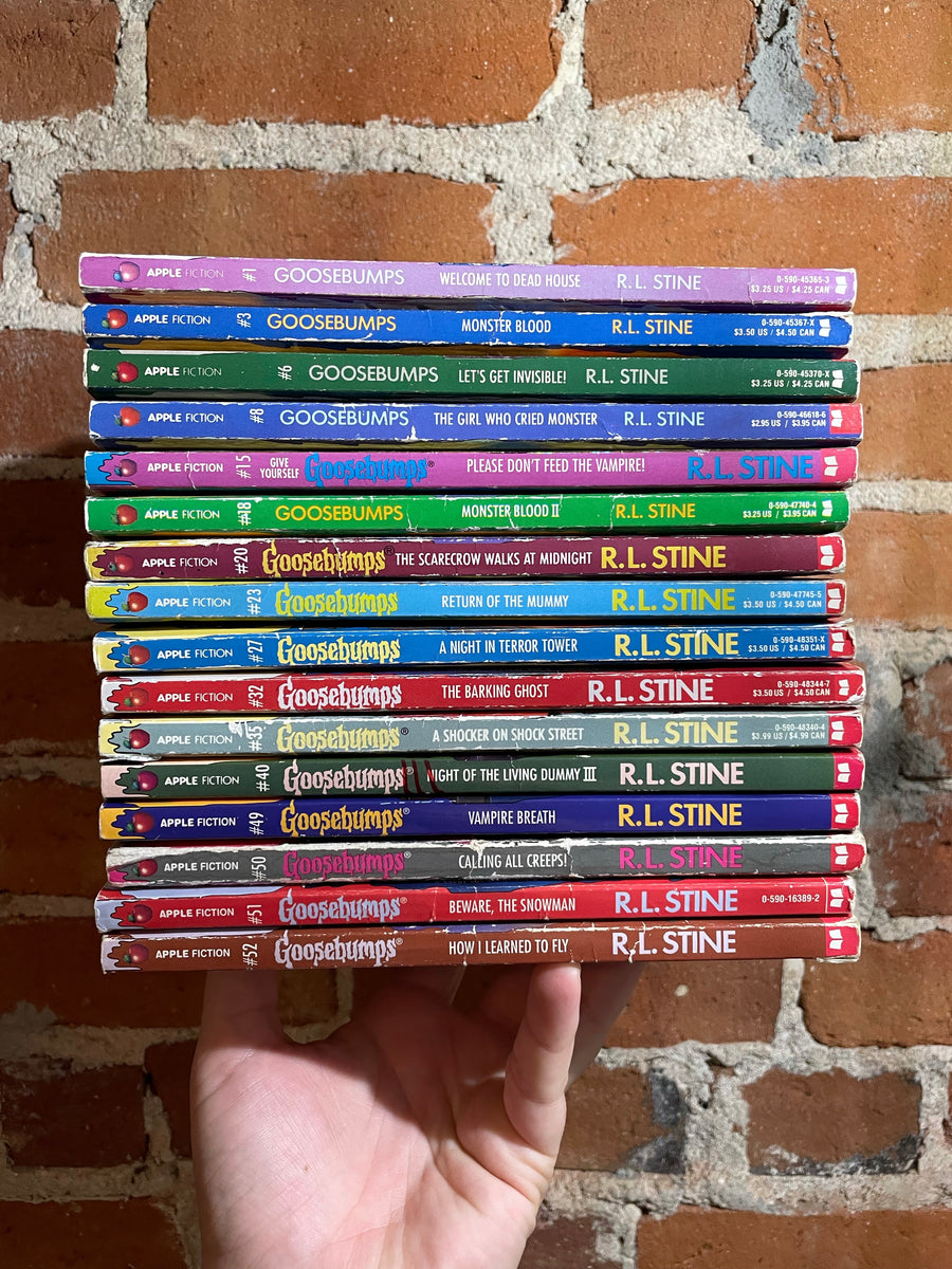 GOOSEBUMPS Apple Paperbacks You Choose the Scare R.L -  Norway