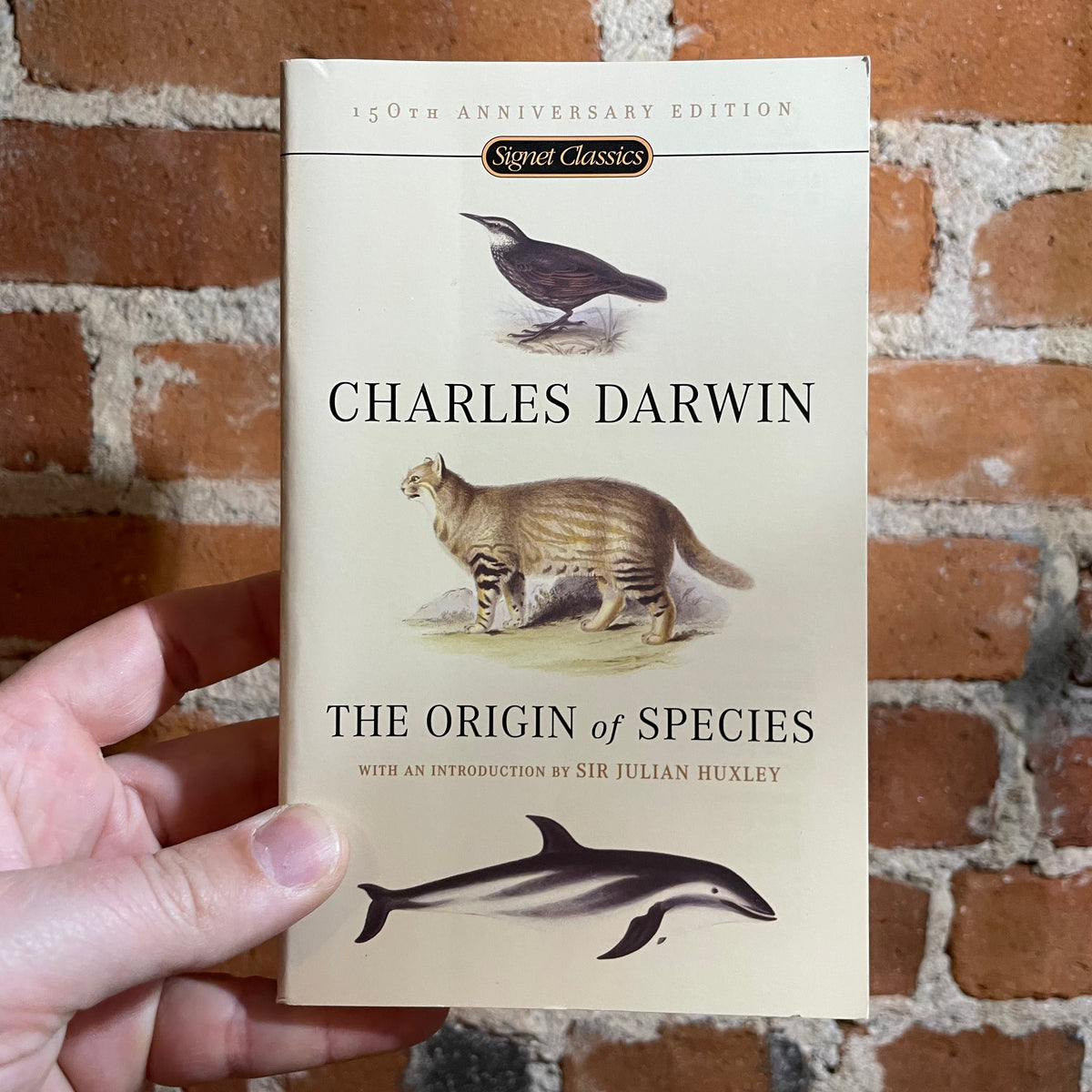 ダーウィン 種の起源C.Darwin On Origin of Species Origin Of Species: Darwin, Charles: 9780785819110: Amazon