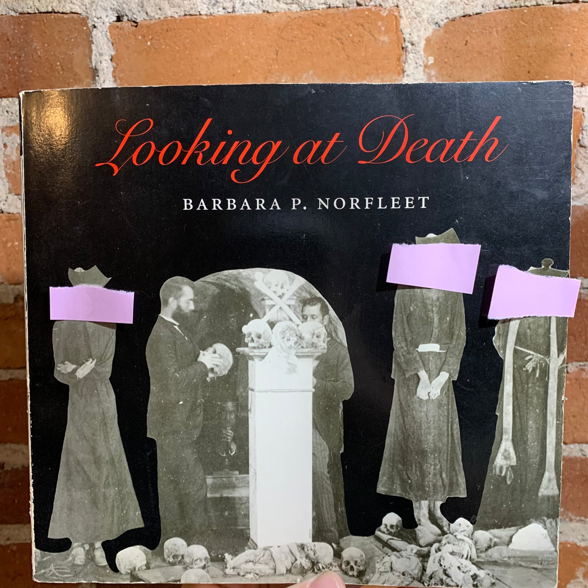 Looking at Death - Barbara P. Norfleeti (1993 Rare Piece of