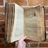 A History of Greece - William Smith - 1864 Illustrated Hardback