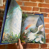 Midnight in the Cemetery: A Spooky Search-and-Find Alphabet Book - Cheryl Harness - 1999 SIGNED Hardback