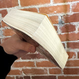 A Fire Upon the Deep - Vernor Vinge - 1993 Tor Books Paperback - Boris Vallejo Cover