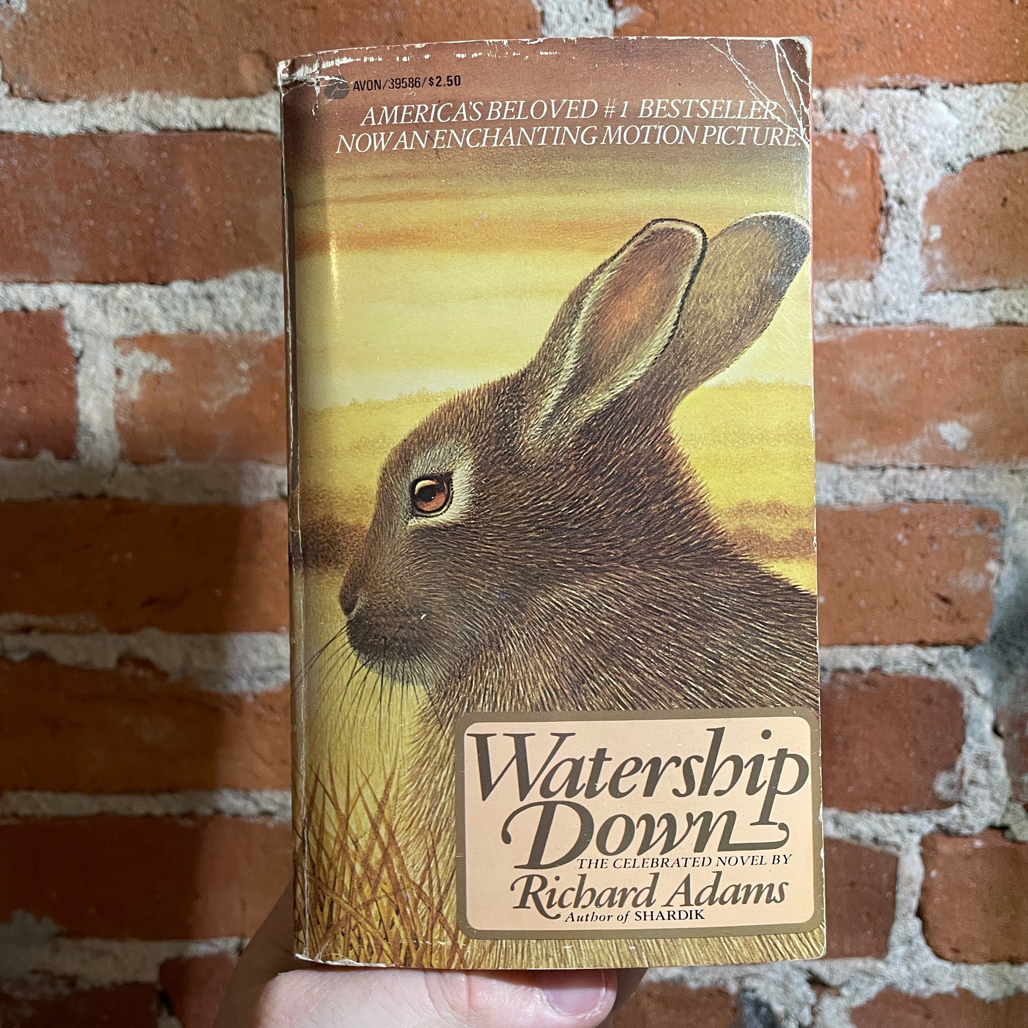 055DAD9D-4143-4F41-A4C8-