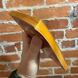 Close to Critical - Hal Clement - 1964 1st Ballantine Books Paperback