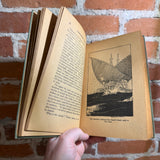 Tanglewood Tales - Nathaniel Hawthorne - 1930 Illustrated The Saalfield Publishing Company Hardback