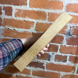 Blood Trillium - Julian May - 1992 Harper Collins Trade Paperback