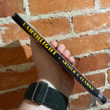 Earthlight - Arthur C. Clarke - 1955 Ballantine Books Paperback - Richard Powers Cover we