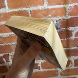 The Snow Queen - Joan D. Vinge - 1984 1st Dell Paperback - Leo & Diane Dillon Cover