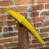 The Halloween Tree - Ray Bradbury - 1976 4th Illustrated Bantam Paperback