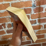 After the Flames - Created by Elizabeth Mitchell - 1985 Baen Books Paperback - Richard Hescox Cover