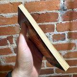 The Life and Adventures of Santa Claus - L. Frank Baum - Illustrated New American Library Paperback