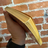 Shadow Hawk - Andre Norton - 1960 Ace Books Paperback