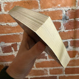 Black River Falls - Ed Gorman - 1997 Leisure Books Paperback