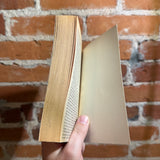 After the Flames - Created by Elizabeth Mitchell - 1985 Baen Books Paperback - Richard Hescox Cover