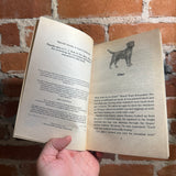 Kitten in the Candy Corn - Ben M. Baglio - Scholastic Softcover - Animal Ark