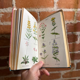 Wild Flower Guide: Northeastern and Midland United States Ed. - Edgar T. Wherry - Illustrated 1948 Doubleday Hardback