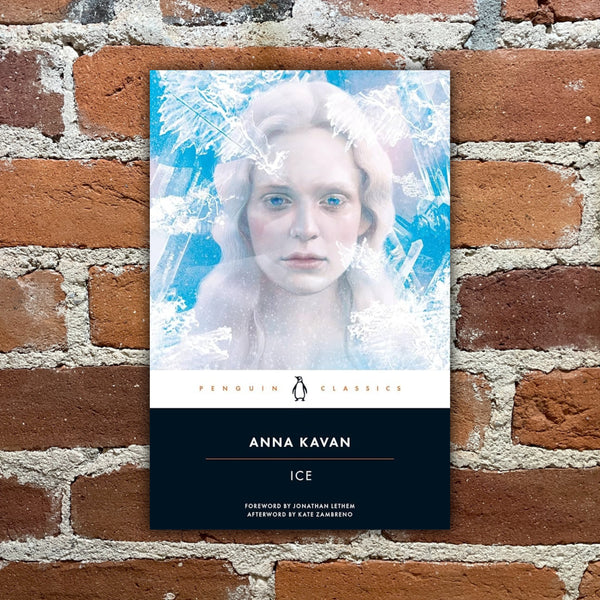 Ice - Anna Kavan - 2017 Penguin Books Paperback - Hsiao-Ron Cheng Cover