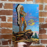 The Lone Indian - James A. Braden - The Saalfield Publishing Company Paperback