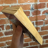 Light Source - Bari Wood - 1985 Signet Books Paperback