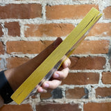 The Black Beast - Nancy Springer - 1982 Timescape Books Paperback