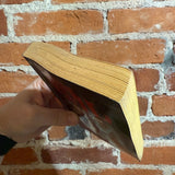 The Evil - Hugh B. Cave - 1981 Ace Charter Books Paperback