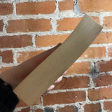 Charisma - Steven Barnes - 2003 Tor Books Paperback - Shane Rebenschied Cover