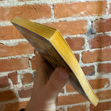 Out of the Dark - Ursula Curtiss - 1964 Ace Books Paperback