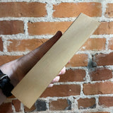 Dune: House Harkonnen - Brian Herbert & Kevin J. Anderson - 2000 Foil Embossed Bantam Books Paperback Stephen Youll Cover