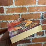 Chyrsalis: Vol. 2 - Edited by Roy Torgeson - 1978 1st Zebra Books Paperback