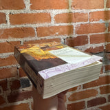 The Year’s Best Fantasy and Horror 13th Edition - Edited by Ellen Datlow & Terri Windling - Trade Paperback - Le Guin & Gene Wolfe