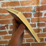 Moondust - Thomas Burnett Swann - 1977 Ace Books Paperback - Stephen Hickman Cover