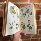 Wild Flower Guide: Northeastern and Midland United States Ed. - Edgar T. Wherry - Illustrated 1948 Doubleday Hardback