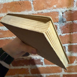 The Robot and the Man - Edited by Martin Greenberg - 1953 1st Gnome Press Hardback